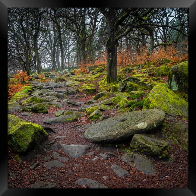 Old Millstone beside path in Padley Gorge woods Framed Print by George Robertson