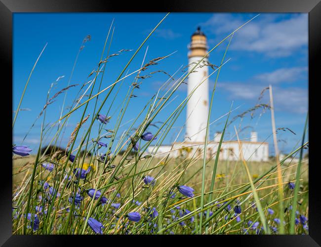 Looking through the wild flowers to Barns Ness Lig Framed Print by George Robertson