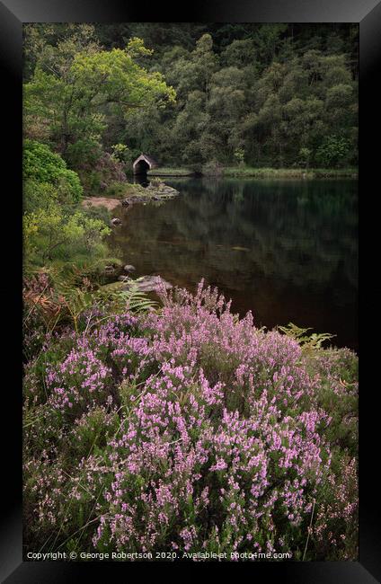 Purple heather and reflections of an Old Boathouse on Loch Chon, Scotland Framed Print by George Robertson