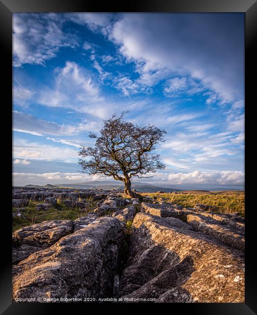 Last light at the lone tree at Winskill Stones Framed Print by George Robertson
