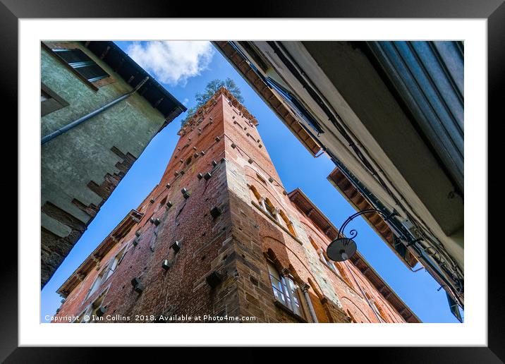 Guinigi Tower, Lucca Framed Mounted Print by Ian Collins