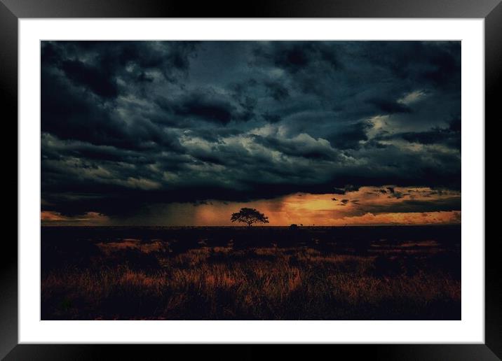 The African Plain Framed Mounted Print by Bob Morgans
