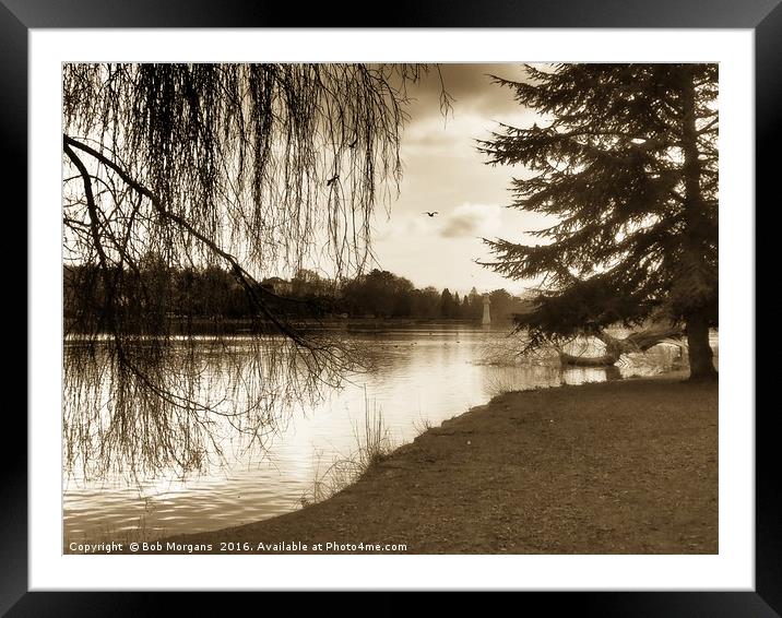 Roath Park Lake(Cardiff)                           Framed Mounted Print by Bob Morgans