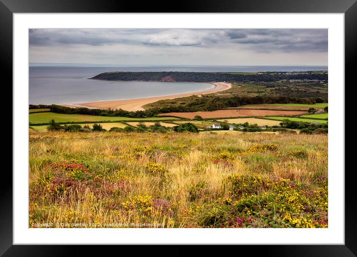 Oxwich Bay from Cefn Bryn, Gower Framed Mounted Print by Dan Santillo