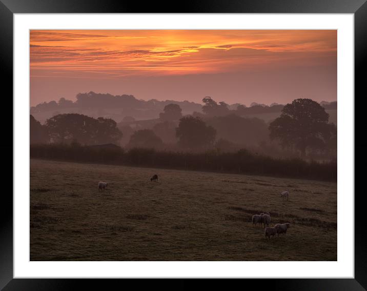 Devon Misty Morning Framed Mounted Print by Jon Rendle