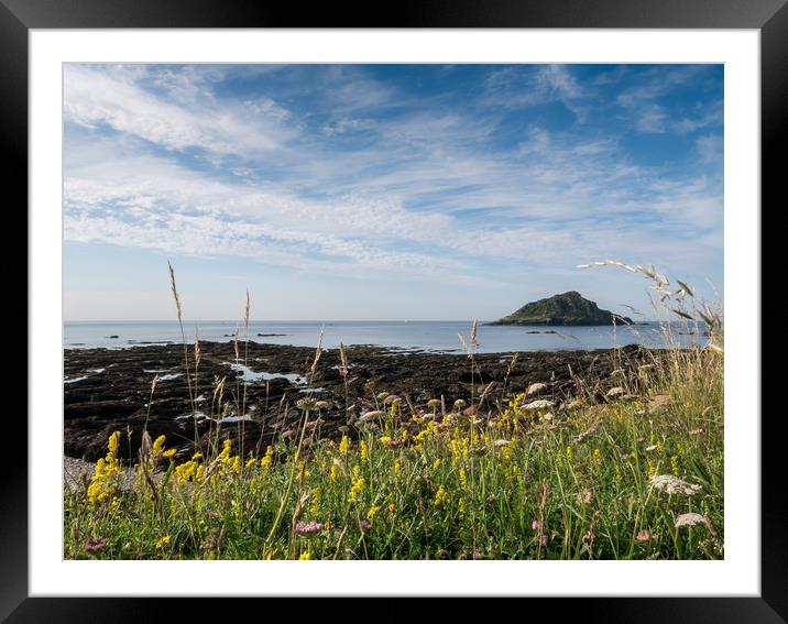 Mewstone Island from Wembury Point Framed Mounted Print by Jon Rendle