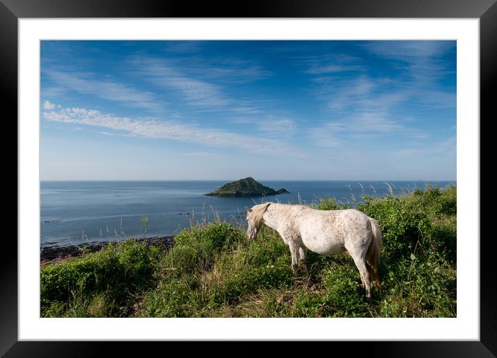 Mewstone Island and Dartmoor Pony Framed Mounted Print by Jon Rendle