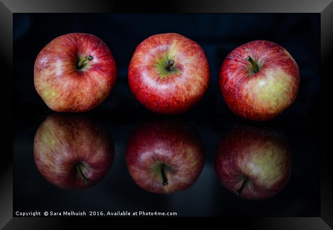 a trio of apples Framed Print by Sara Melhuish