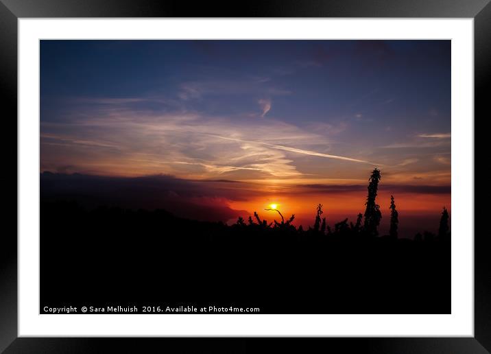 Golden Glow at dusk Framed Mounted Print by Sara Melhuish