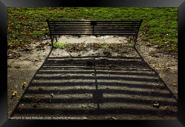 Shadows of a bench Framed Print by Sara Melhuish