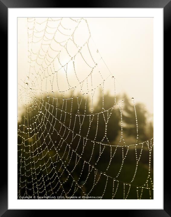 Spiders web covered in dew drops Framed Mounted Print by Sara Melhuish