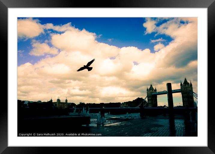 Flying free over the city Framed Mounted Print by Sara Melhuish