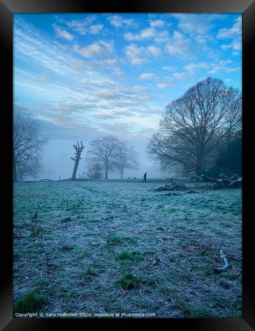 Frosty morning dog walk, Part 1 Framed Print by Sara Melhuish