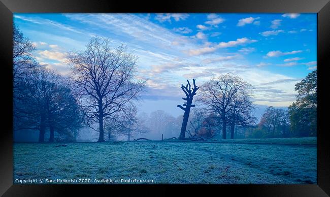 Foggy Woods Part 2 Framed Print by Sara Melhuish