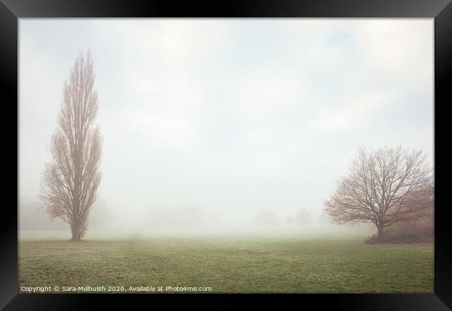 Two trees in the fog Framed Print by Sara Melhuish
