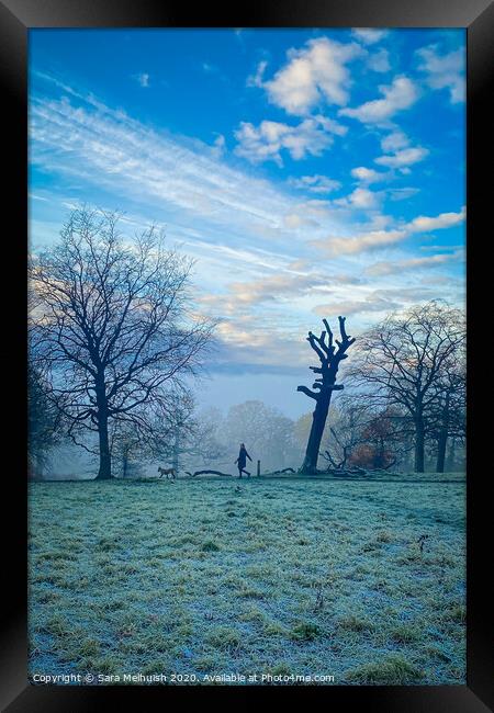 Frosty morning dog walk, Part 2 Framed Print by Sara Melhuish