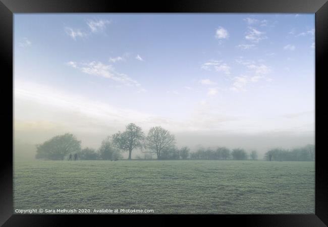 Misty meadows Framed Print by Sara Melhuish