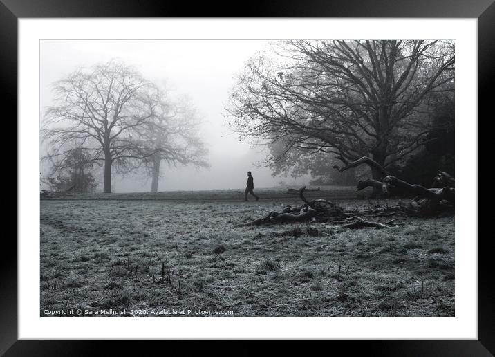 A large tree in a field with man in the background walking through the fog Framed Mounted Print by Sara Melhuish