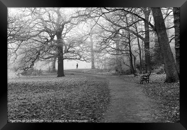 A stroll in the woods Framed Print by Sara Melhuish