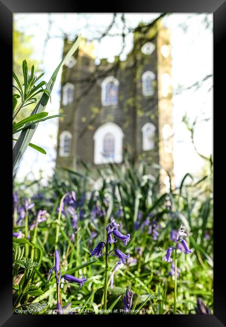 Bluebells and castle Framed Print by Sara Melhuish