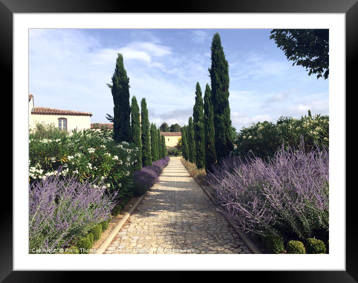 French lavender in the Lanquedoc-Roussillon region Framed Mounted Print by Piers Thompson