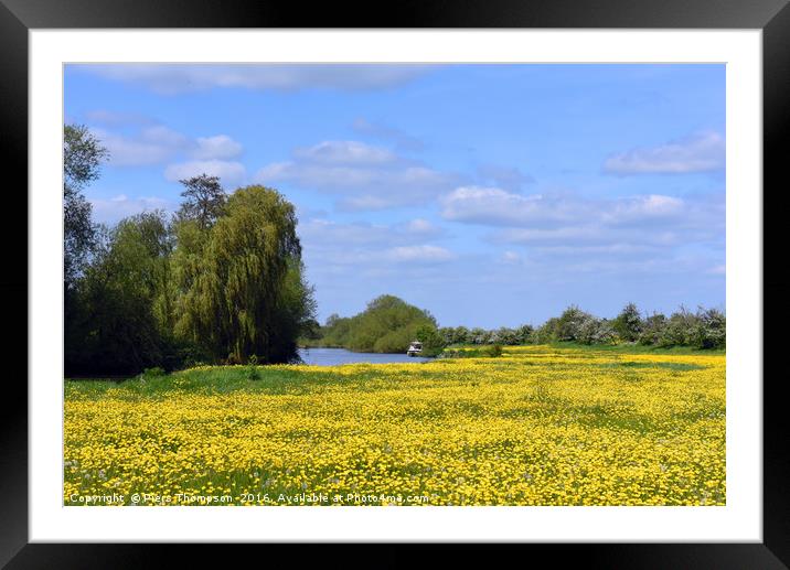Buttercups by River Thames Framed Mounted Print by Piers Thompson