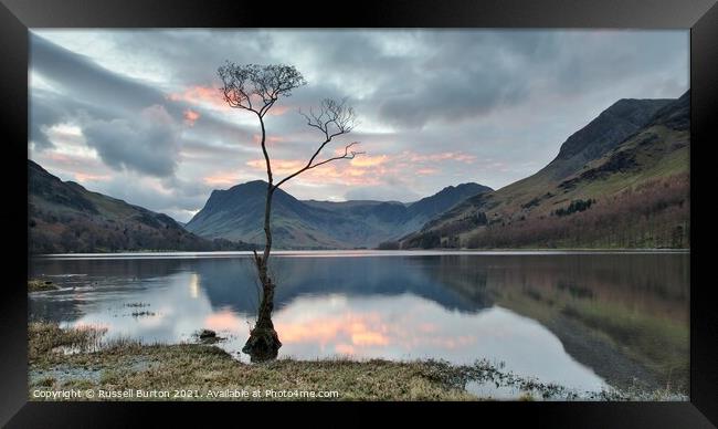 Lone tree at Buttermere Framed Print by Russell Burton