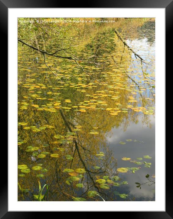 On Golden Pond Framed Mounted Print by Chris Langley