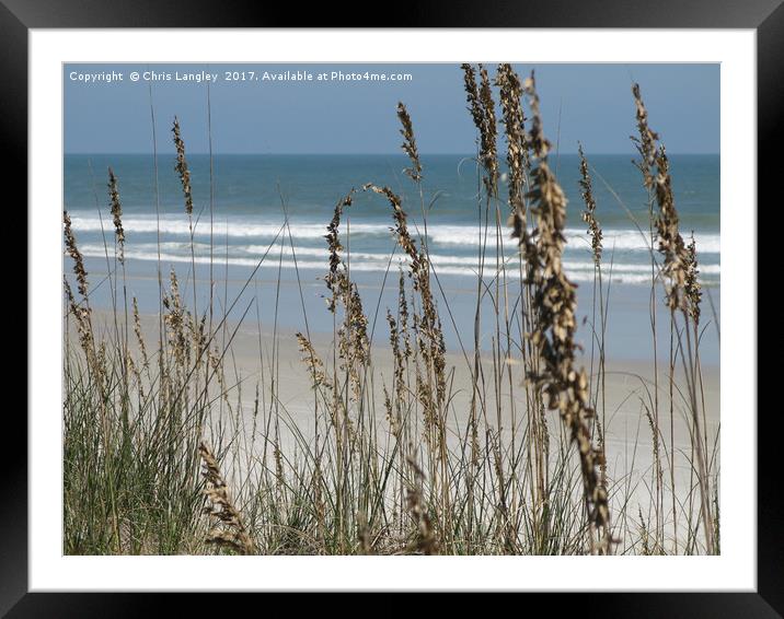 From the Grassy Dunes, Neptune Beach, Florida Framed Mounted Print by Chris Langley