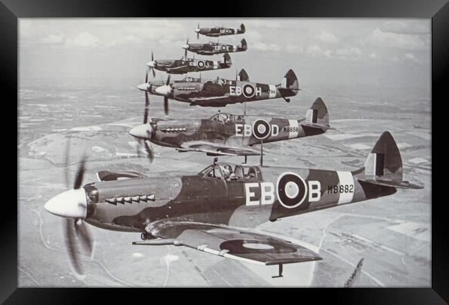 Spitfire Mk 12's of 41 Squadron RAF, 1944 Framed Print by Chris Langley