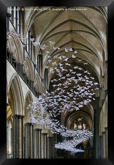 Origami Doves in Salisbury Cathedral Framed Print by Chris Langley