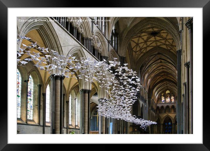 Origami Doves in Salisbury Cathedral Framed Mounted Print by Chris Langley