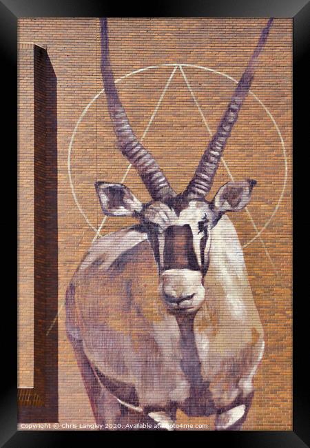 Gemsbok Antelope wall mural Framed Print by Chris Langley