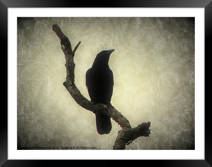 Crow Framed Mounted Print by Frankie Cat