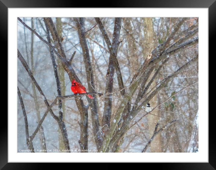Cardinal and Chickadee Framed Mounted Print by Frankie Cat