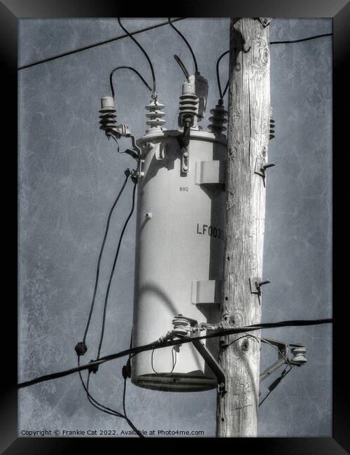 Electrical Transformer Framed Print by Frankie Cat
