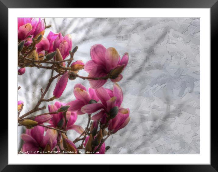 Tulip Tree Blossoms Framed Mounted Print by Frankie Cat