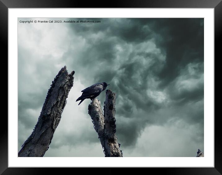 Crow with Storm Clouds Framed Mounted Print by Frankie Cat