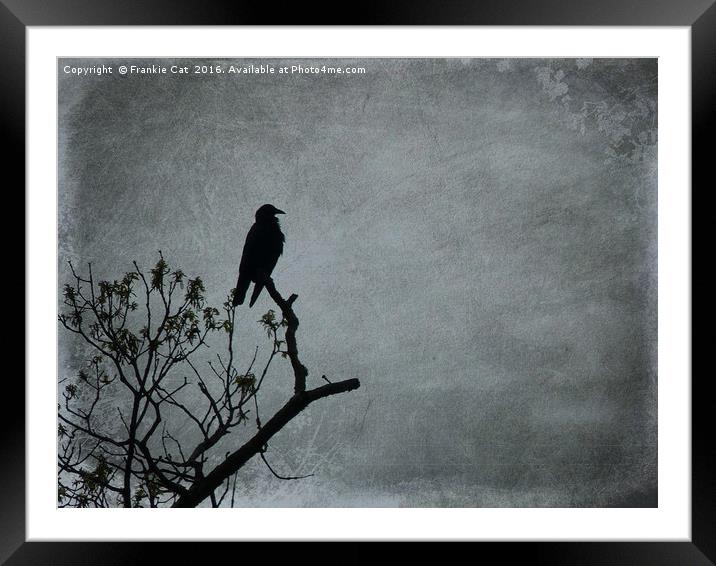 Majestic Crow Framed Mounted Print by Frankie Cat