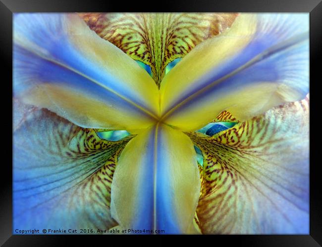 Inside of an Iris Framed Print by Frankie Cat