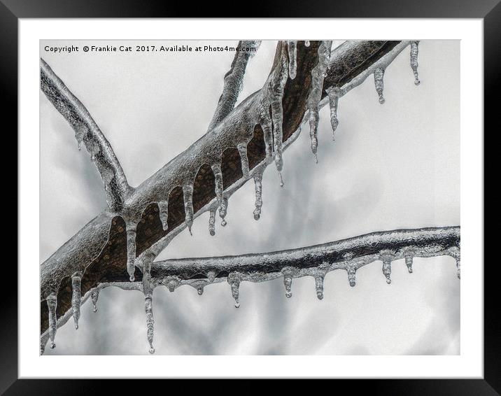Icy Branch Framed Mounted Print by Frankie Cat