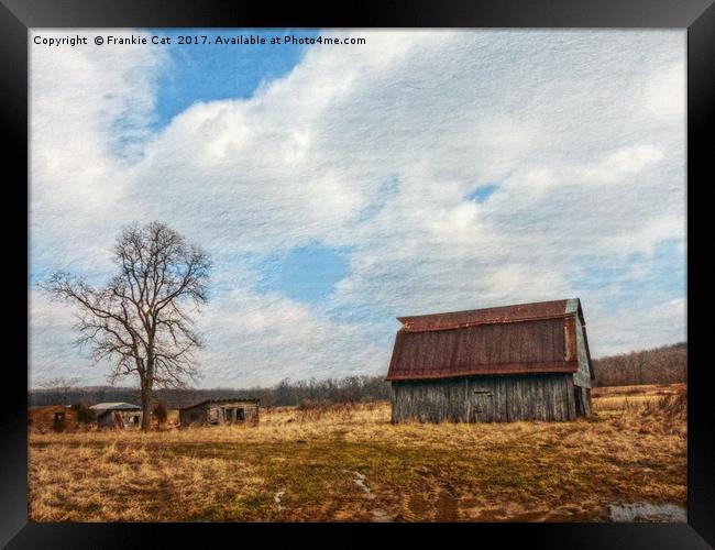 Old Barn with Outbuildings Framed Print by Frankie Cat