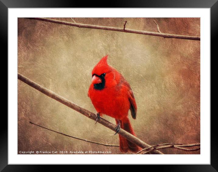Cardinal Framed Mounted Print by Frankie Cat
