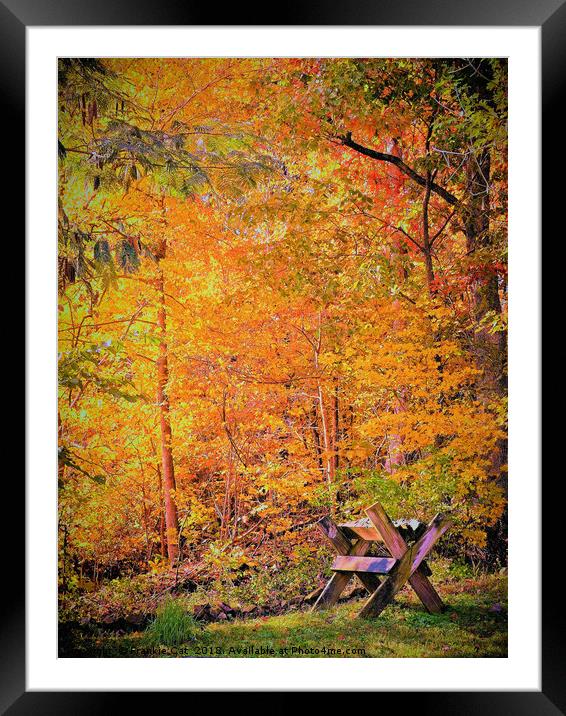Autumn Magic Framed Mounted Print by Frankie Cat