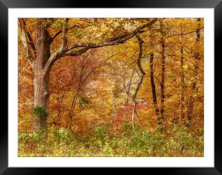 Autumn Forest Framed Mounted Print by Frankie Cat