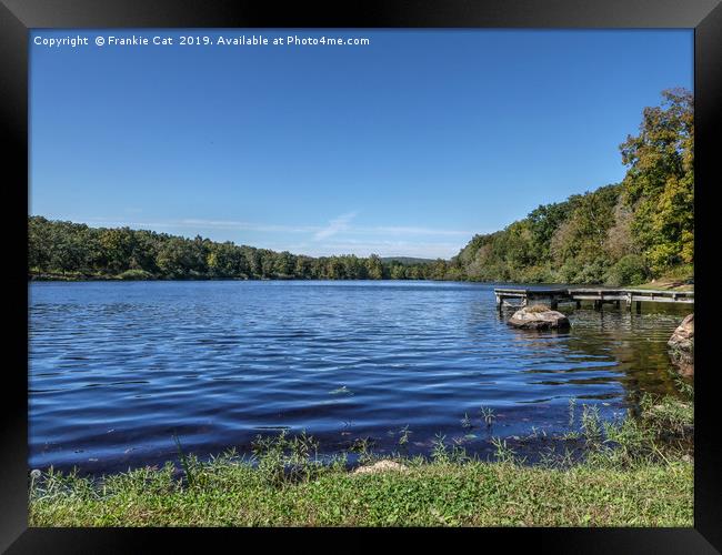 Shepherd Mountain Lake Framed Print by Frankie Cat