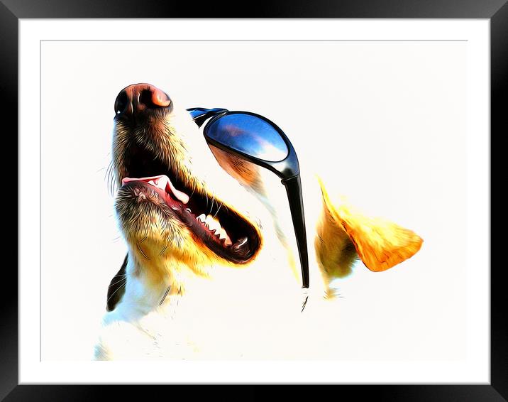 My cool dog Timmy  Framed Mounted Print by Dagmar Giers