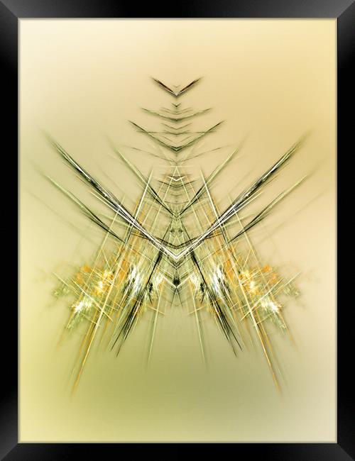Still life - fly  Framed Print by Dagmar Giers