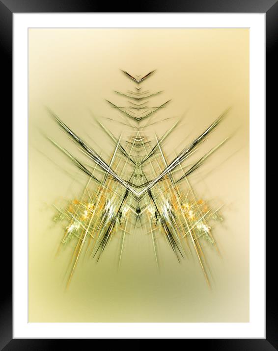 Still life - fly  Framed Mounted Print by Dagmar Giers