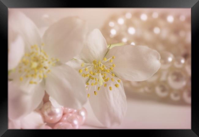 Flower arrangement summerjasmin  Framed Print by Dagmar Giers